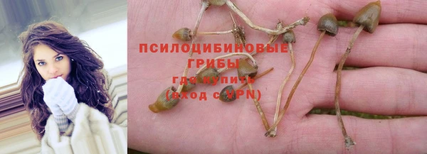 сатива Аркадак