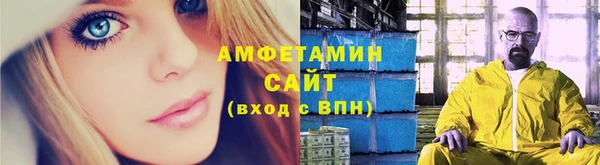 сатива Аркадак