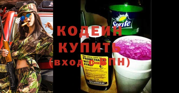 гашик Арсеньев