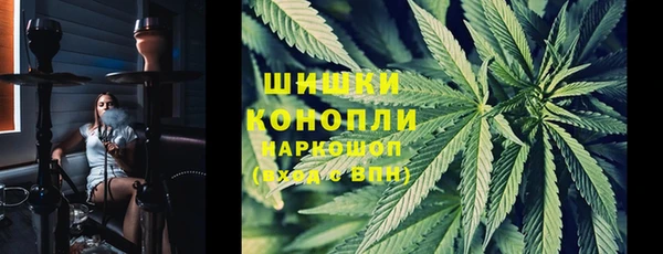 гашик Арсеньев