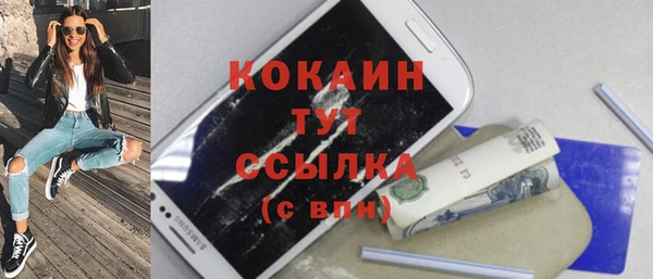 сатива Аркадак