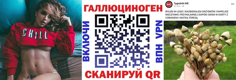 Галлюциногенные грибы Psilocybine cubensis  Грязовец 
