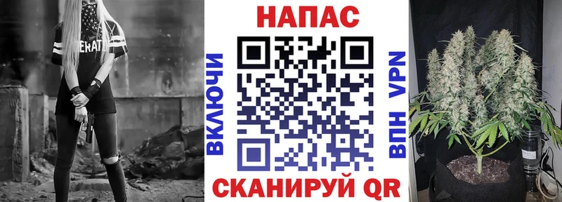 Бошки марихуана гибрид  Грязовец 